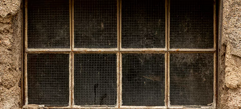 Traditional Double Front Doors in Vero Beach South, FL