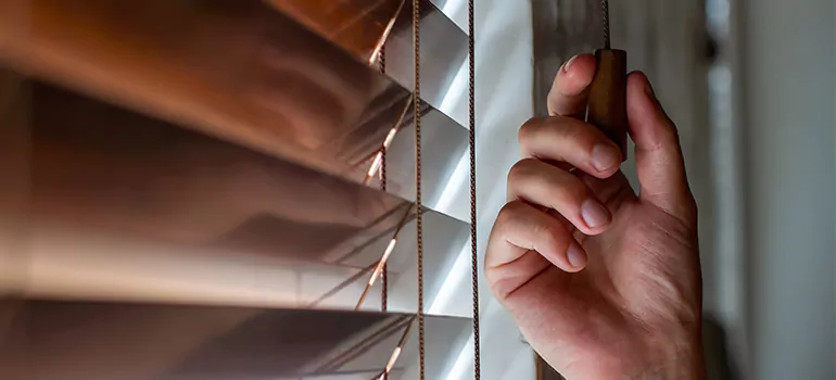 Double Roller Blinds in Vero Beach South, FL