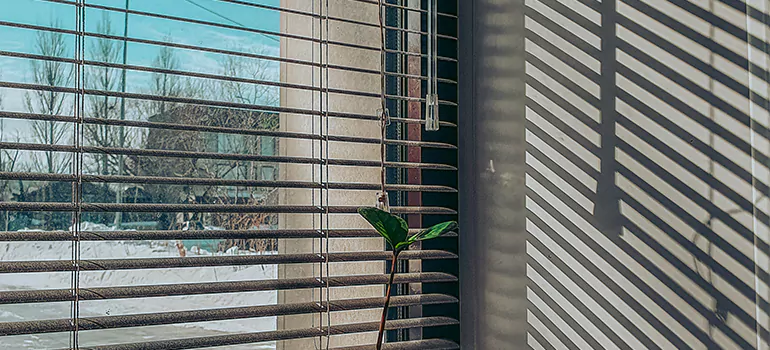 Commercial Window Blinds in Vero Beach South, FL