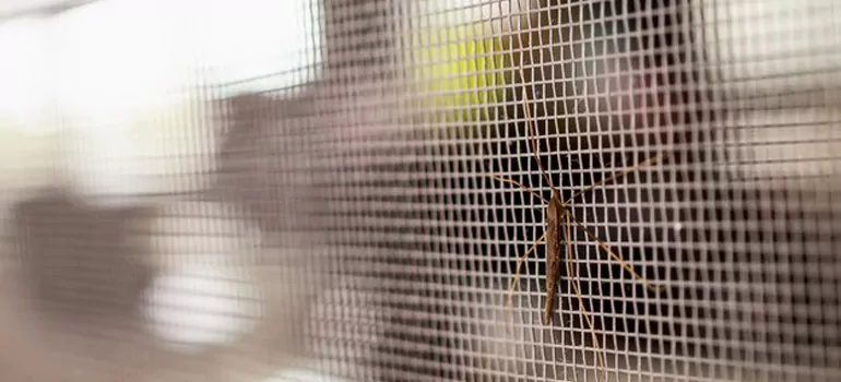 Repair Mosquito Mesh For Windows in Vero Beach South, FL