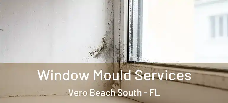 Window Mould Services Vero Beach South - FL